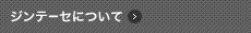 ジンテーゼについて